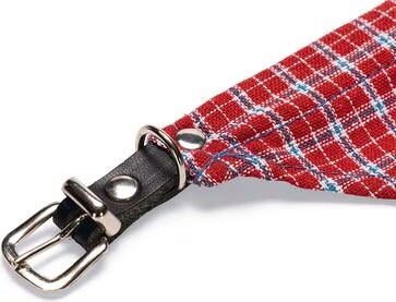 Karlie Rondo du col avec foulard (S, Chien), Laisse