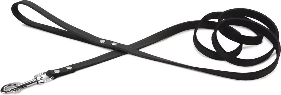 Comparer les prix de Beeztees BZ LAISSE EN CUIR NOIR 200X16 (Chien), Collier + laisse