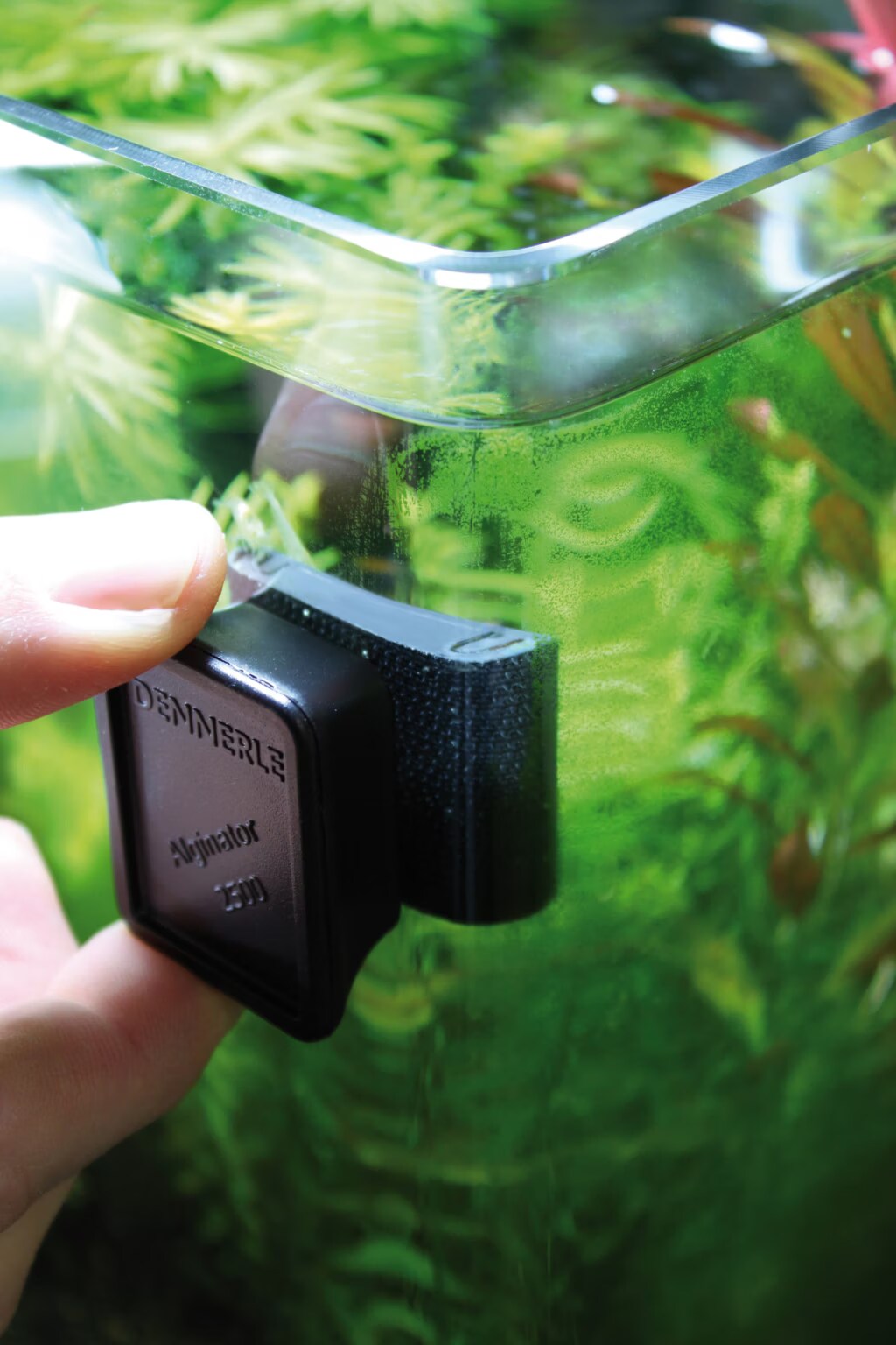 Dennerle Aimant de nettoyage Nano Alginator 2500