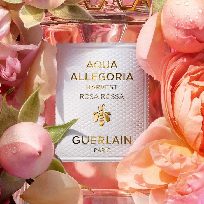 Guerlain AQUA 23 Rosa Rossa Harvestvest Eau de Toilette 125 ml (Eau de Toilette 125 ml) Galaxus