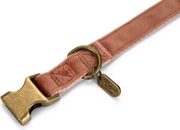 Designed by Lotte Velura (Chien, Promenade), Collier + laisse