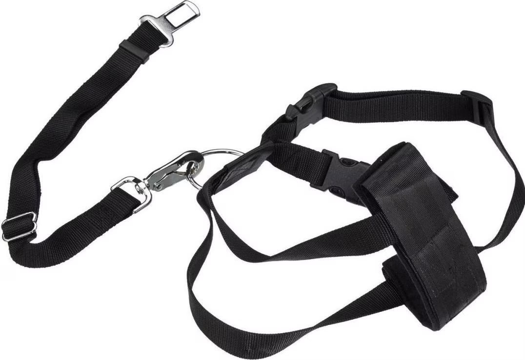 Meilleurs prix pour Ceinture de sécurité Taille S pour chien tour de poitrail 30-60cm Trixie - Ceinture sécurité Chien