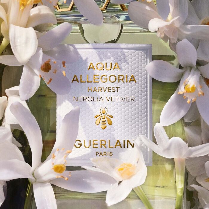 Guerlain AQUA 23 Nerolia Vetiver Harvestvest Eau de Toilette 125 ml (Eau de Toilette 125 ml) Galaxus