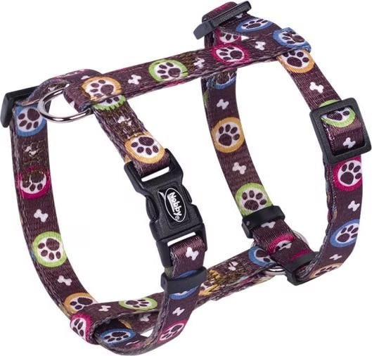 Meilleurs prix pour Nobby Vaisselle Paw (Chien), Collier + laisse