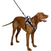 Kerbl Autosicherheitsgeschirr Travel Protect (Dog)
