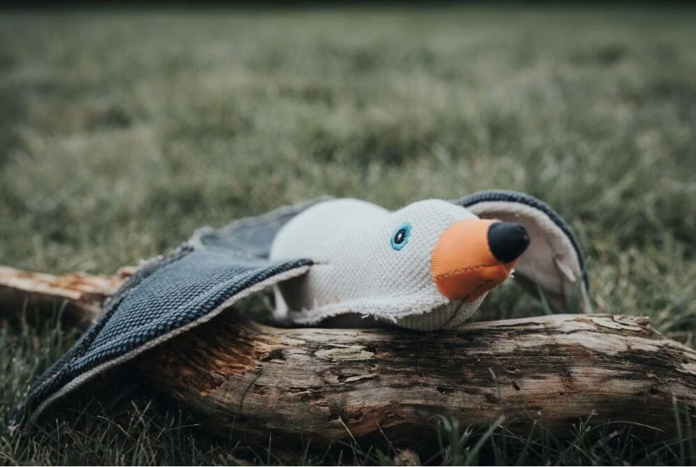 Jouet HUNTER Canvas Mouette de mer environ L 35 x l 36 x H 6 cm - Jouet pour chien