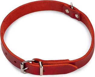 Comparer les prix de Karlie Collier Rondo, rivet (L, Chien, Promenade), Collier + laisse