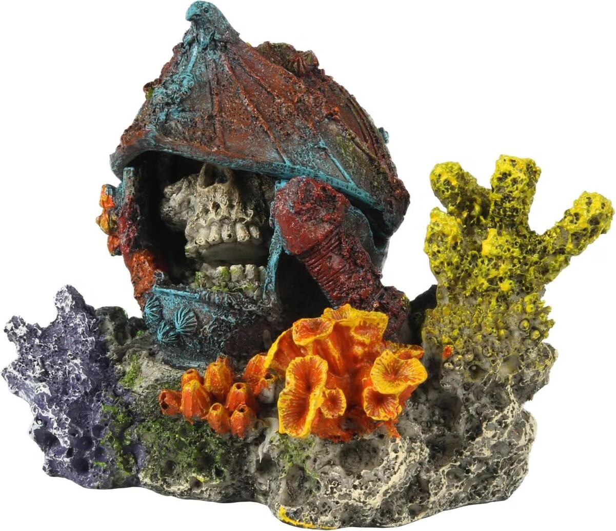 Meilleurs prix pour EBI Aqua Della Stray Wood Skull (autres lments), Dcoration d'aquarium