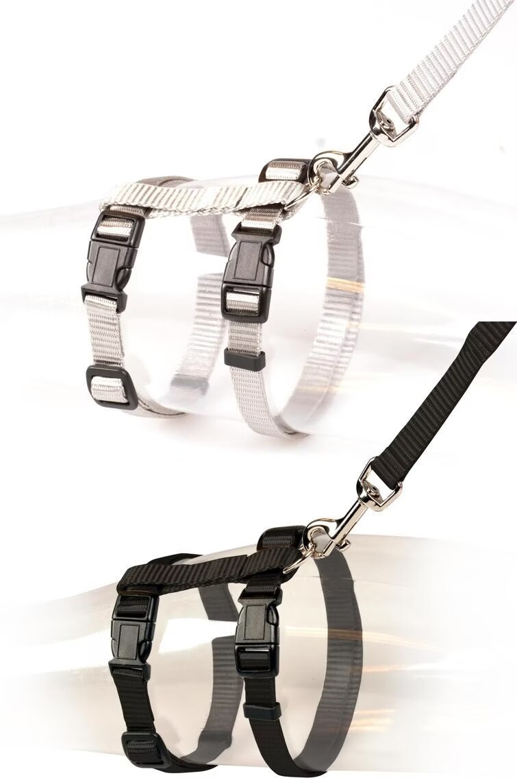 EBI Chat grand set de promenade (Chat, Gnral), Collier + laisse