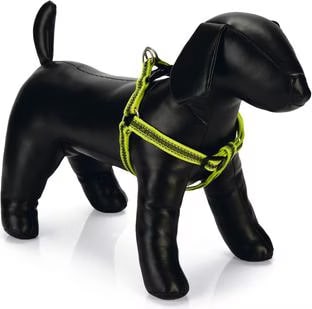 Comparer les prix de Beeztees BZ NYL HARNAIS CABO JAUNE 60-1 (100, Chien, Gnral), Collier + laisse