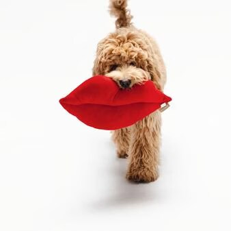Beeztees Jouet pour chiens Kiss en peluche, Jouets pour chien