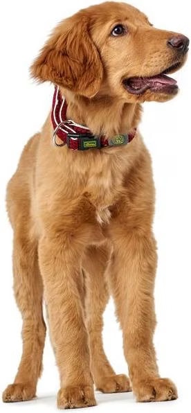 Collier pour Chien Hunter Vario Plus Fils Taille XL Anthracite (45-70 cm)