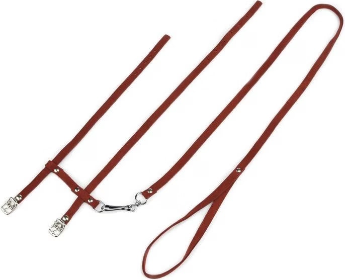 Meilleurs prix pour Beeztees BZ GARNITURE CHAT VELOURS ROUGE (Chat), Collier + laisse