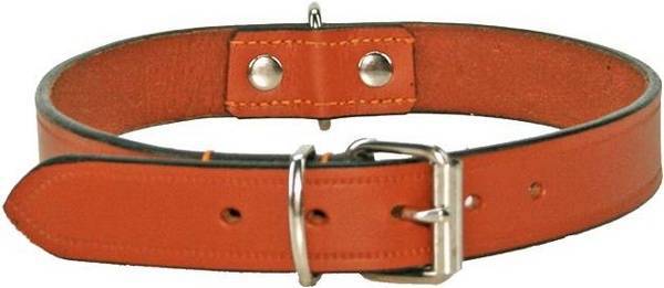 Colly Lederhalsband genietet 63 cm 25 mm natur kaufen