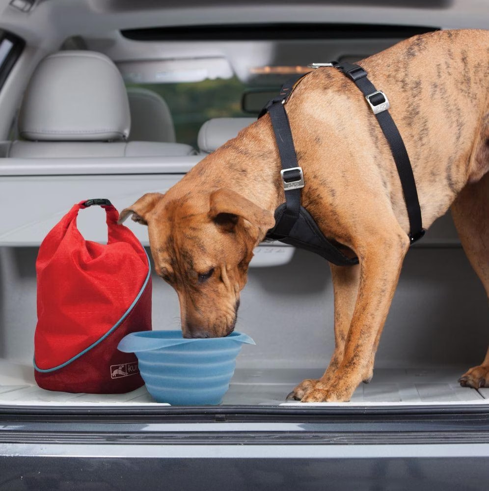 Kurgo Collaps-A-Bowl (0.70l), Gamelle