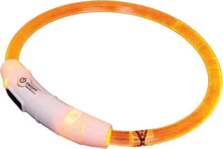 Meilleurs prix pour Nobby Bande lumineuse  LED VISIBLE (45, Chien), Collier + laisse