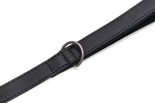 Beeztees BZ BALACRON LAISSE AX BRN 100X1 (100, Chien, Gnral), Collier + laisse