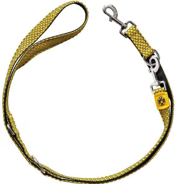 Meilleurs prix pour Hunter Dogleash Hilo BVB M - (68583) (M, Chien, Sport canin), Collier + laisse