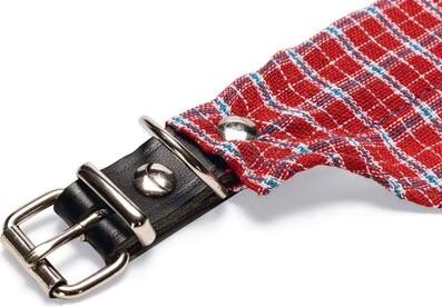 Karlie Col Rondo avec bandana (L, Chien), Laisse