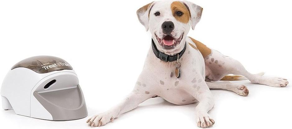 PetSafe Treat and Train Learning Intelligence Toys Galaxus