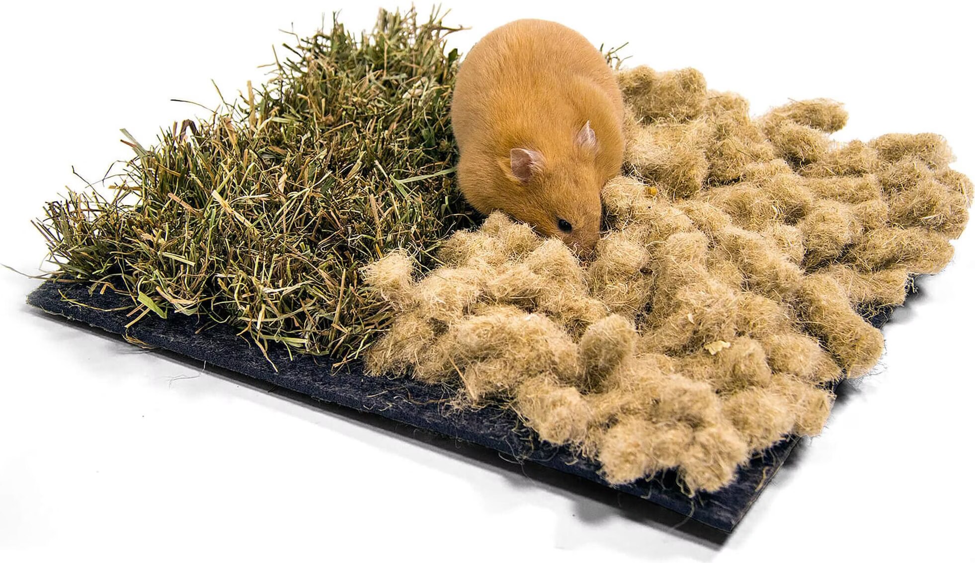 Meilleurs prix pour Bunny Interactive Tapis à renifler foin & chanvre