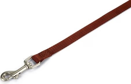 Beeztees BZ NY LAISSE UNI MARRON CLAIR 120X (Chien, Gnral), Collier + laisse