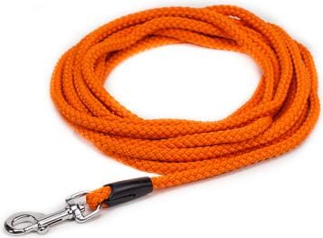 Meilleurs prix pour Petlando Ligne de trane Weavers corde lgre (L, Chien), Collier + laisse