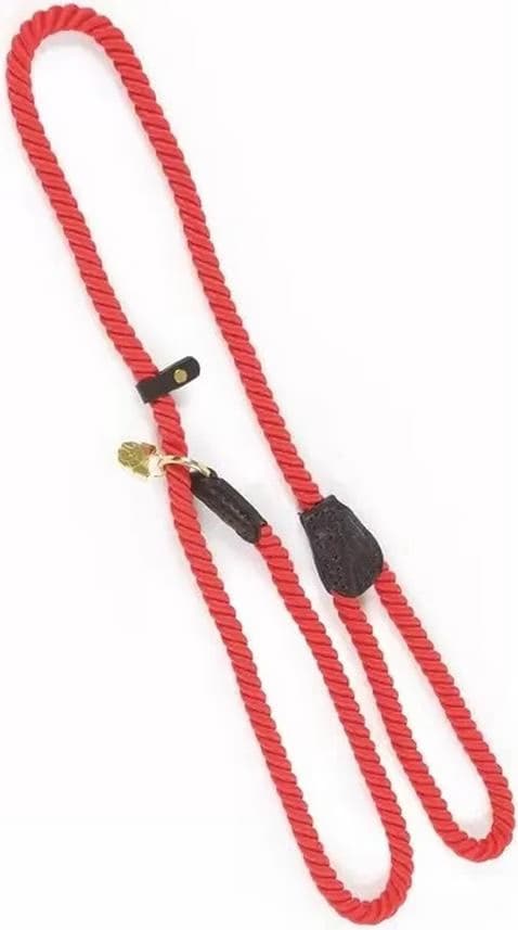 Digby & Fox Laisse pour chienRetrieverCorde en cuir (Chien), Collier + laisse