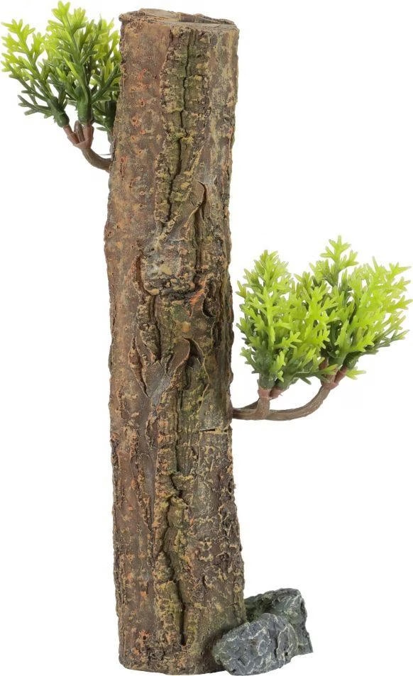 Meilleurs prix pour Zolux Forest XS aquarium decoration (Dcoration, autres lments), Dcoration d'aquarium