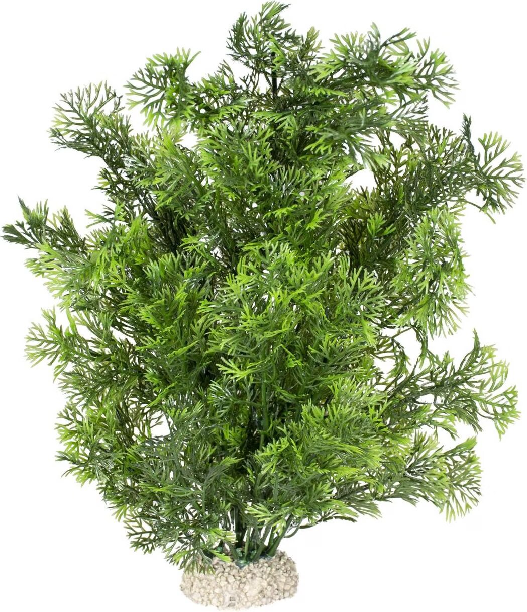 Meilleurs prix pour EBI Aqua Della Plante Phoenix L (autres lments), Dcoration d'aquarium