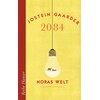 2084 - Noras Welt (Jostein Gaarder, Deutsch)