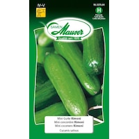 Samen Mauser Mini-concombre Rimoni (Graines de légumes)