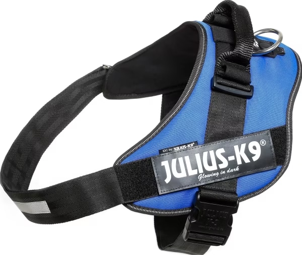 Julius-K9 K9 IDC POWER HARNAIS GR 4 BLEU (4, Chien, Gnral), Collier + laisse