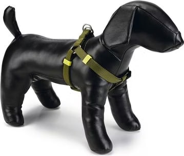 Meilleurs prix pour Beeztees BZ NY GESCH UNI GRIS CLAIR 60-10 (Chien, Gnral), Collier + laisse