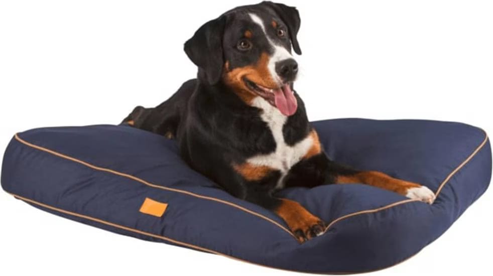 Kerbl Coussin pour chiens Jerome 80 x 60 x 6 cm Bleu marine 81313