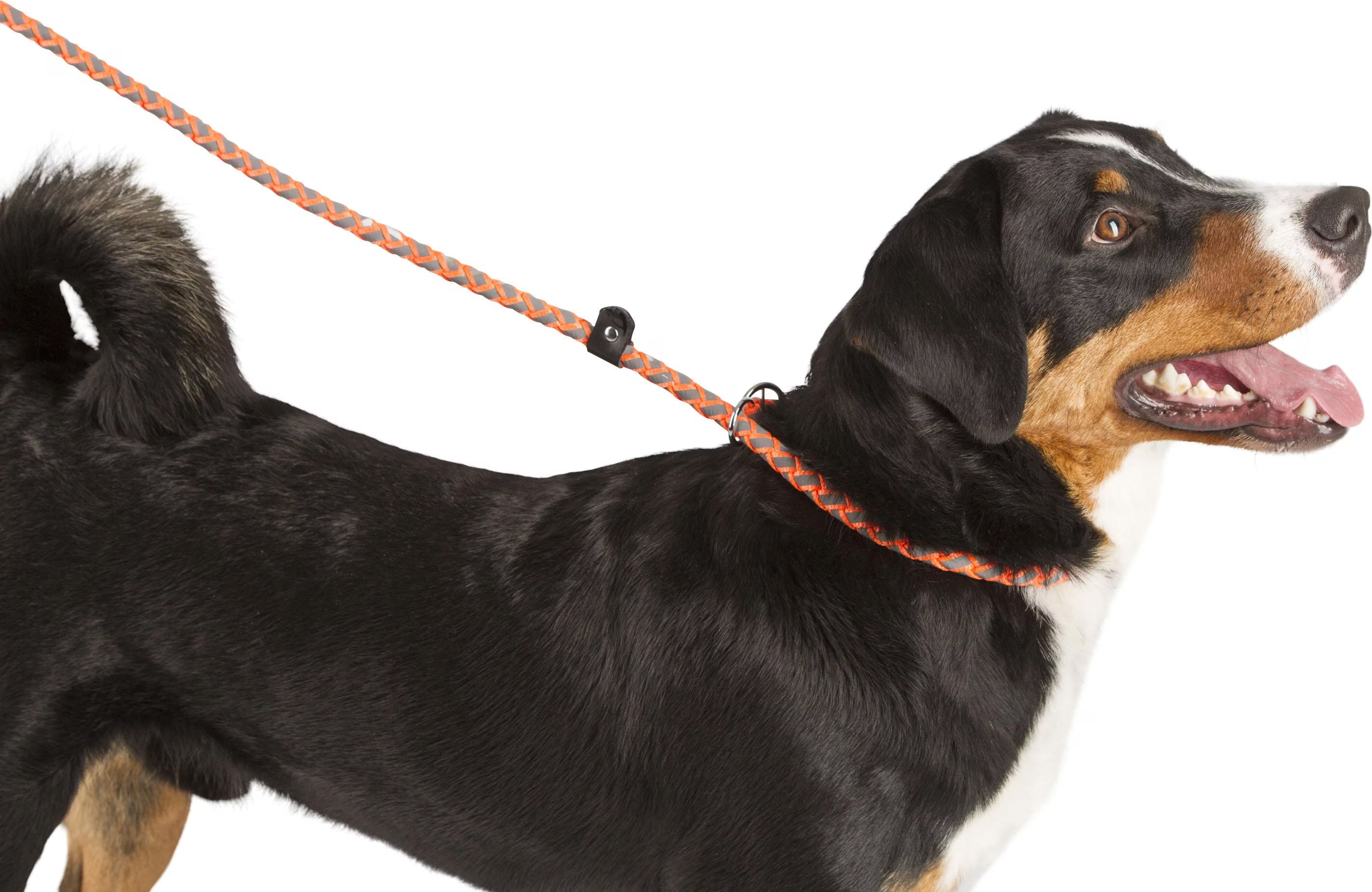 Meilleurs prix pour Kerbl Maxi Safe corde à noeud 170 cm x 12mm, orange fluo (Chien), Laisse