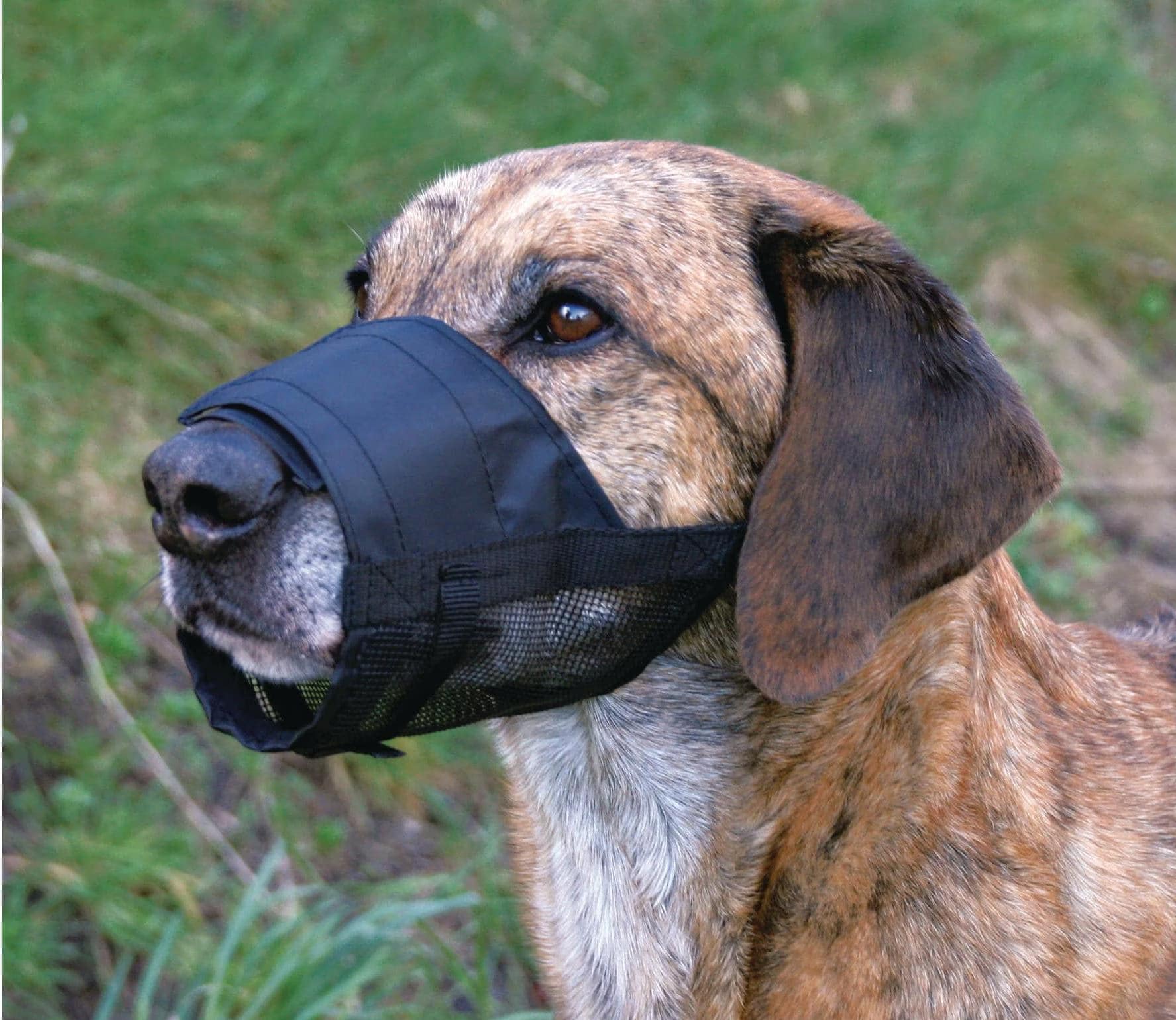 Meilleurs prix pour Muselière Filet en nylon