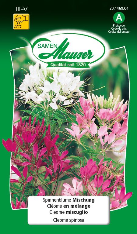 Samen Mauser Spinnenblume Mischung (Blumensamen) kaufen
