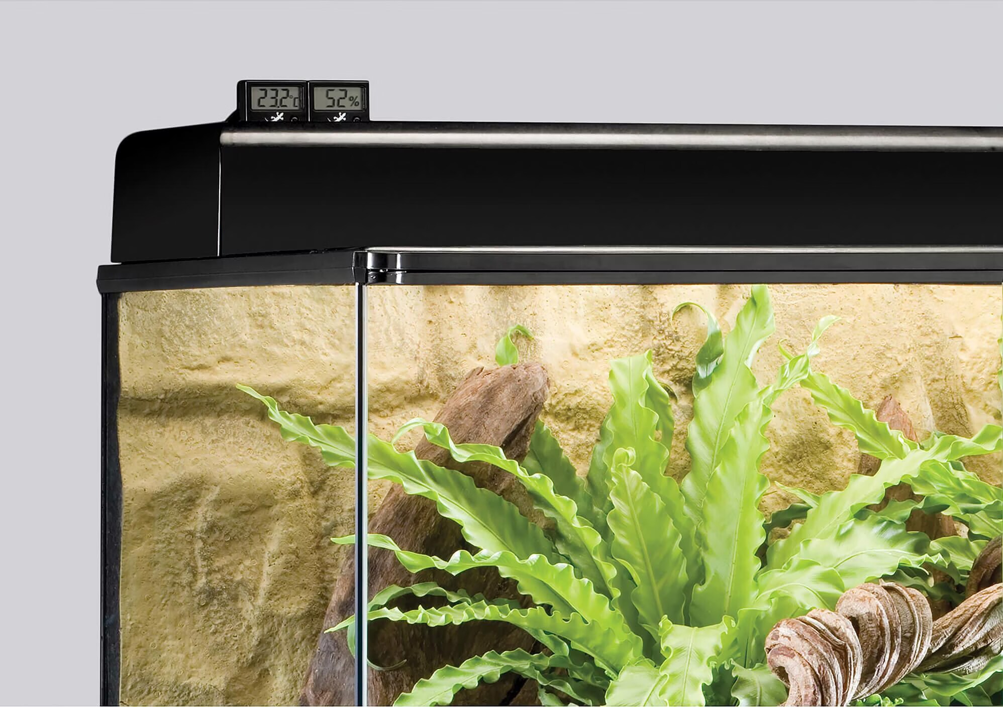 Exo Terra - Hygromètre Numérique pour Terrarium