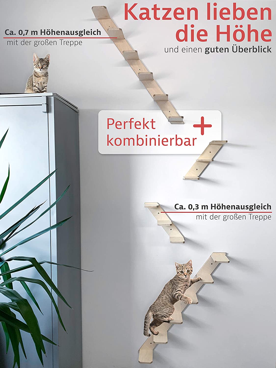 Elmato Cat steps stairs 85 cm Brown Beige buy at Galaxus