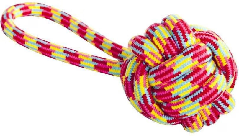 Comparer les prix de Red Dingo DINGO Parrot ball with a handle - Jouets pour chiens - 9.5 x 27 cm (Jouets pour chiens), Jouets pour chien