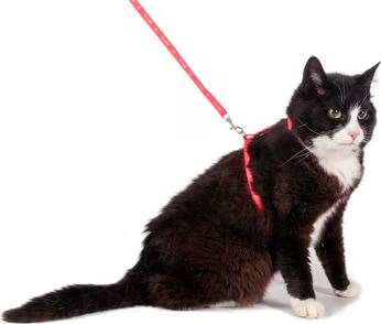 Karlie Art Sportiv harnais et laisse poisson (Chat, Promenade), Collier + laisse