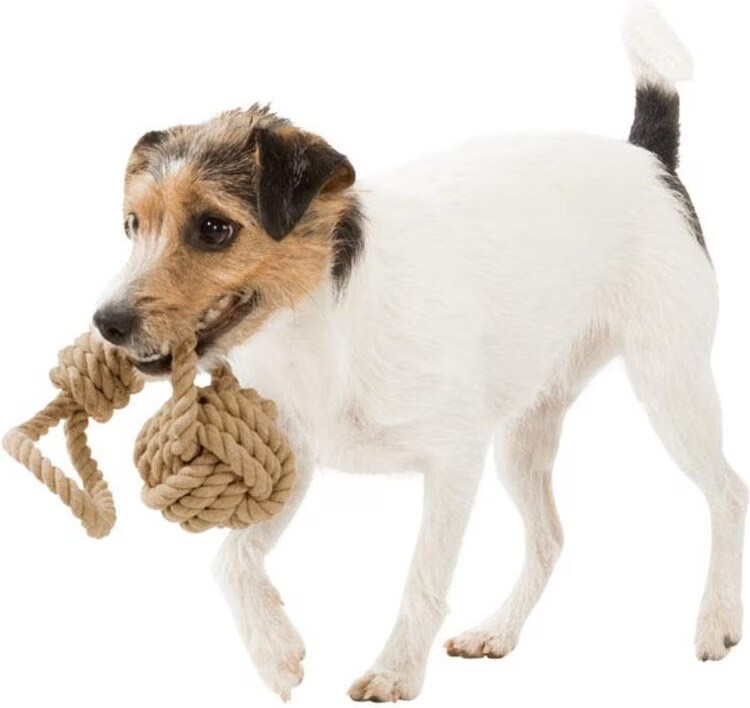 Corde de jeu avec balle tressée pour chiens. Dimensions: ø 7/20 cm - Trixie - TR-32632