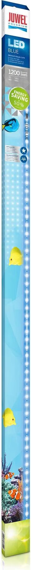 Meilleurs prix pour Juwel Aquarium Bleu (LED, 31 W), Éclairage pour aquarium