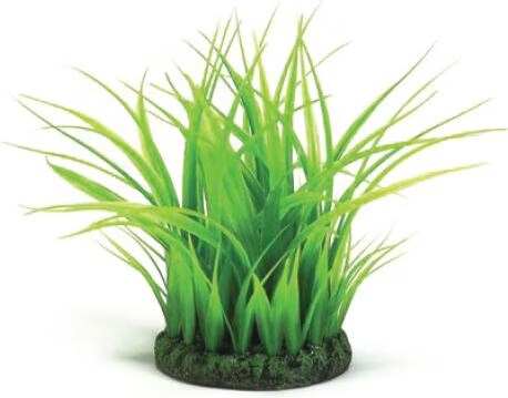 Comparer les prix de Oase biOrb Grasing petit vert, Décoration d'aquarium