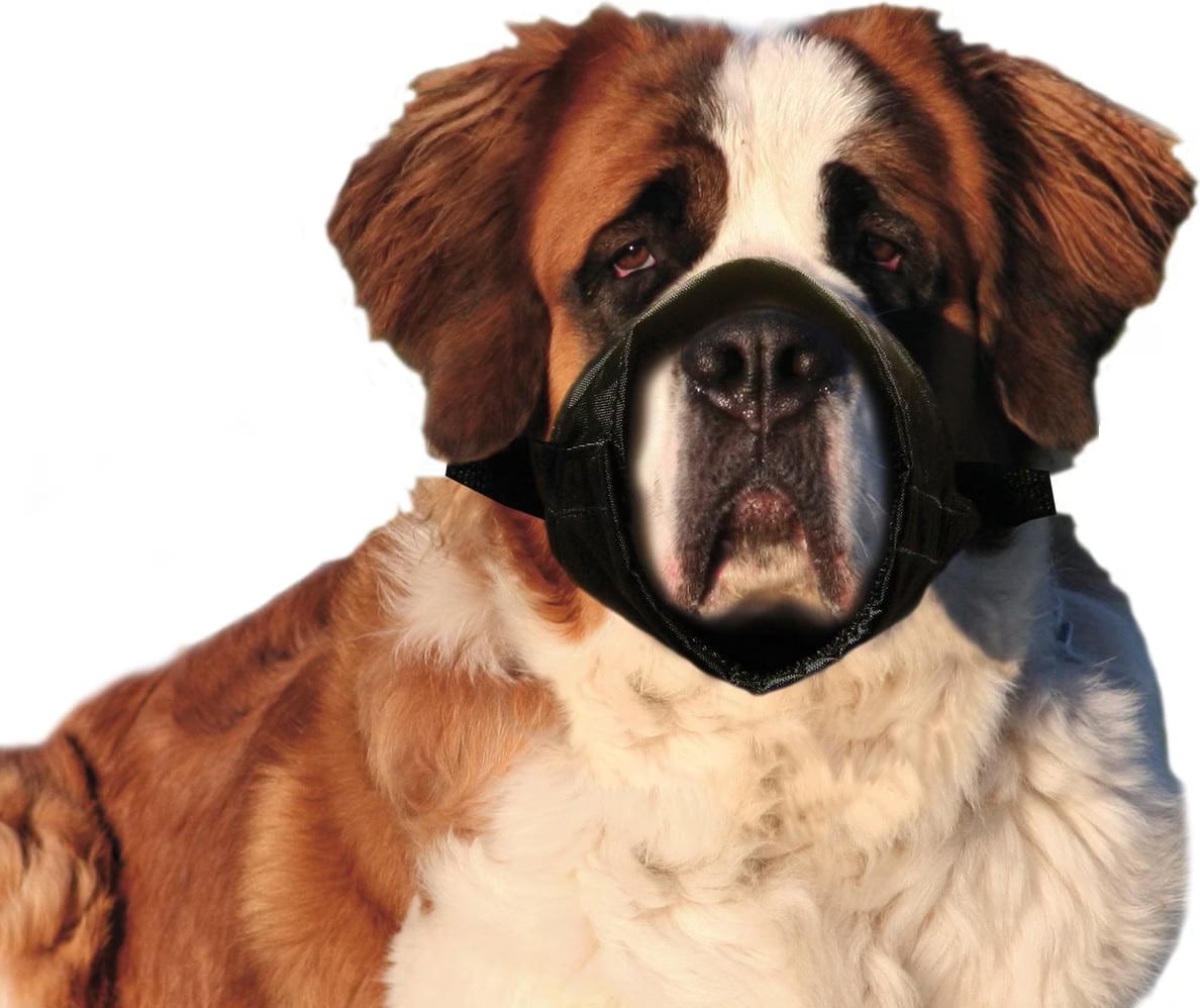 Comparer les prix de Karlie Muselière en nylon (XXL, Chien, Promenade), Laisse