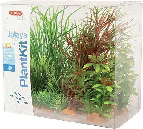Tetra - Kit de 6 plantes Plantkit Jalaya