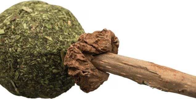 Trixie Sucette Matatabi 11 Cm