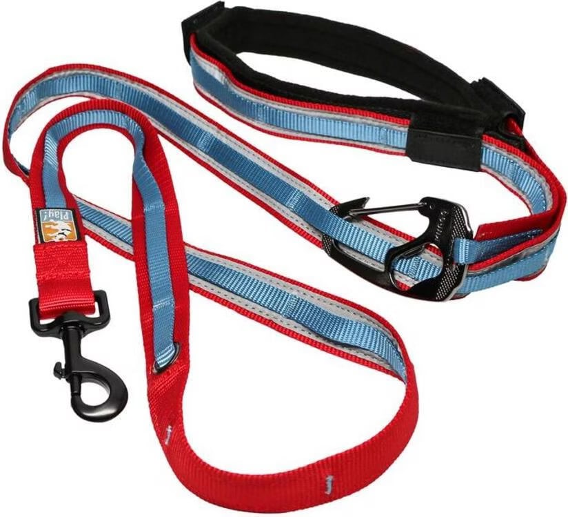 Meilleurs prix pour Kurgo Hundeleine Quantum (S, Chien), Collier + laisse