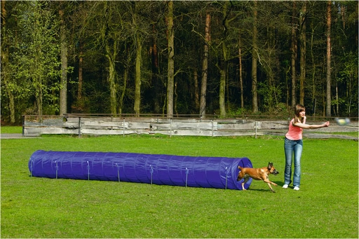 Meilleurs prix pour Beeztees BZ AGILITY TUNNEL LARGE 525X60 (Agility), Agility